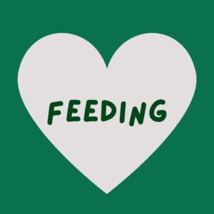 Feeding Essentials