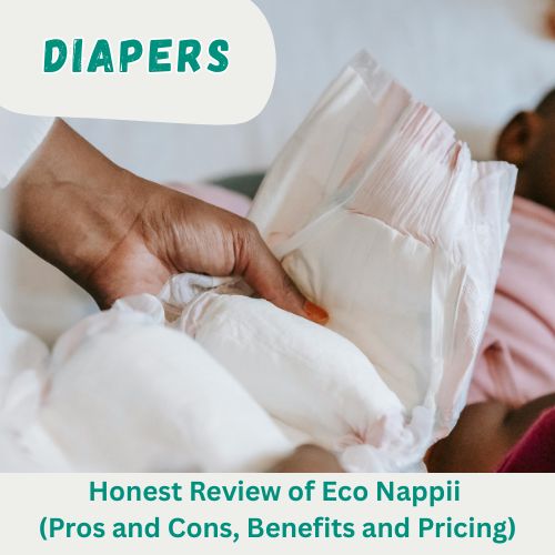 Eco Nappii Review