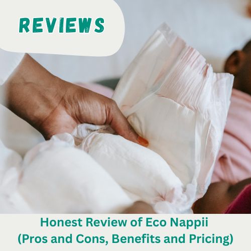 Eco Nappii Review